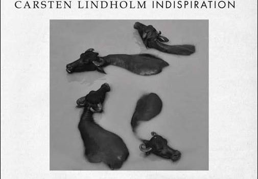 Carsten Lindholm – Indispiration