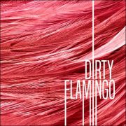 Dirty Flamingo – Dirty Flamingo