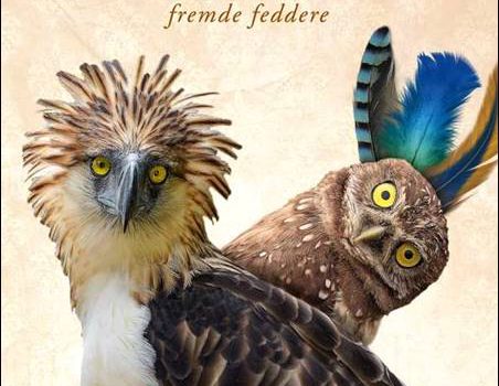 Köster/Hocker – Fremde Feddere