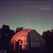 Still In The Woods – Flying Waves