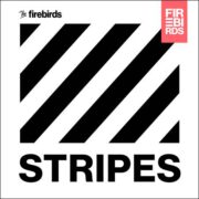 The Firebirds – Stripes