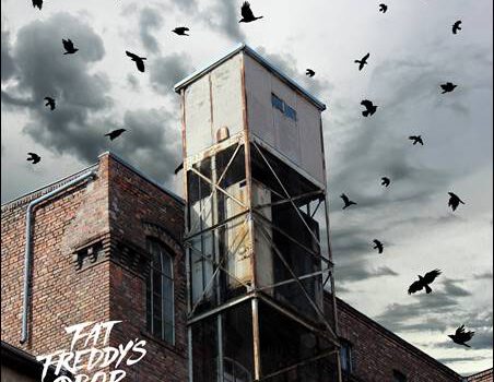 Fat Freddy’s Drop – Blackbird Returns