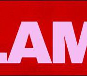 Calamite – Calamite