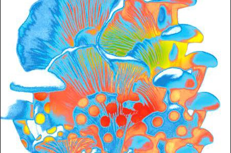 Various – Future Sounds Of Jazz 16